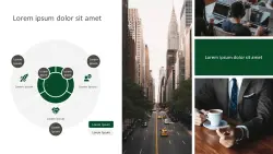 Presentation sample 14